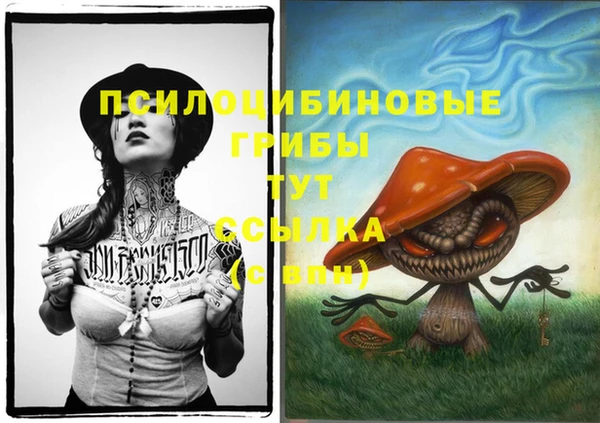 прущие грибы Богородск