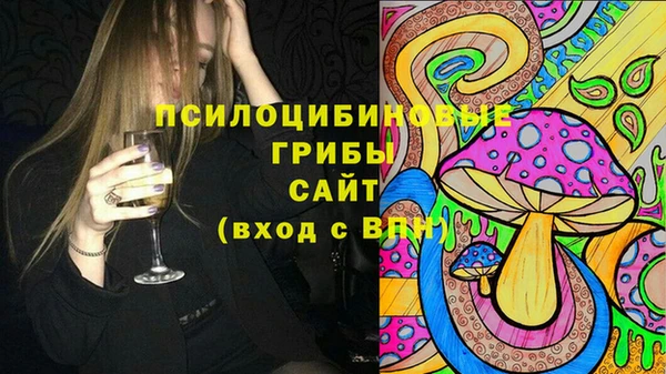 СК Богородицк