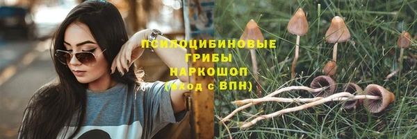 СК Богородицк