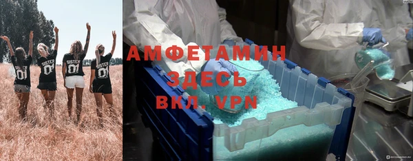 экстази Богданович