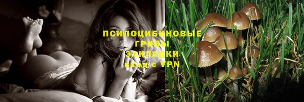 экстази Богданович