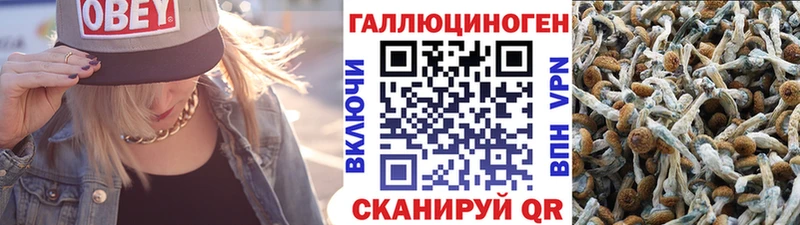 Галлюциногенные грибы Psilocybine cubensis  мега рабочий сайт  Дудинка 